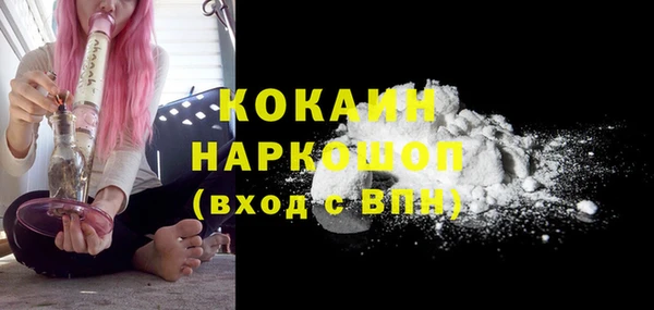 шишки Аркадак