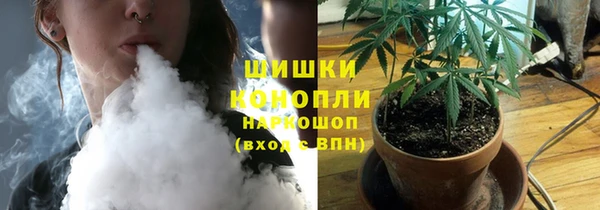 шишки Аркадак