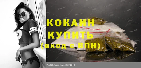 шишки Аркадак