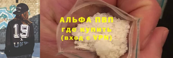 шишки Аркадак