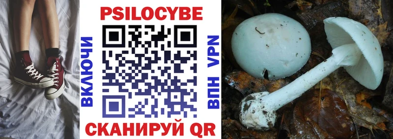 закладка Луза Псилоцибиновые грибы мухоморы